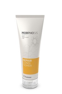 MORPHOSIS REPAIR CONDITIONER 250 ML / بلسم ا لإصلاح من مورفسيس 250مل